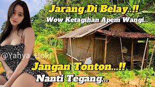 Waspada Aneh Tapi Nyata..!Rumah Tua Bagai Istana Tersembunyi Di Pinggir Hutan Pedalaman Terpencil