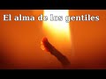 Q&A - El alma de los gentiles