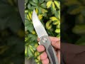 walter randolph mini wyvern custom knife from r1marketplace