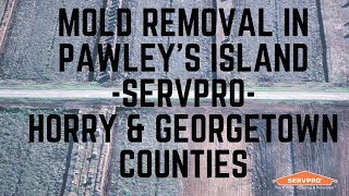 Mold Removal In Pawley's Island | SERVPRO | Horry \u0026 Georgetown Counties