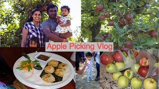 അമേരിക്കയിലെ മനോഹരമായ ആപ്പിൾ തോട്ടം l Apple Picking l kids | Food | Navarasam Malayalam Vlog - 2