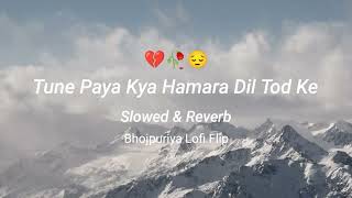 Tune Paya kya Hamara Dil Tod ke || Judai || Slowed \u0026 Reverb || Bhojpuriya Lofi  || Neelkamal Singh