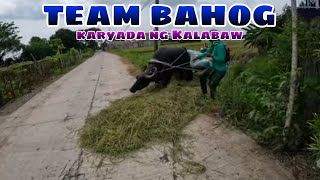 Team Bahog karyada ng Kalabaw