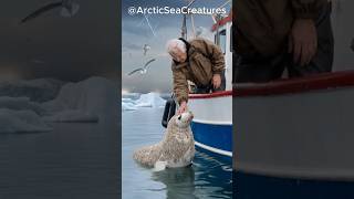 A seal whose body was parasitized by barnacles asked the old fisherman for help