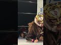 【女子プロレス】口から臓器が飛び出てきそうなプロレス技【sareee】【タイガー・クイーン】【ストロングスタイルプロレスvol.31】 玉川ボール short