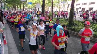 大阪マラソン2014 7km付近⑥ 9時54分～