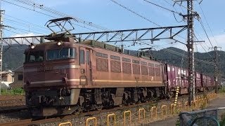 JR貨物　EF81-628号機牽引3092レ　2013/11/14