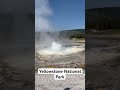 crazy geyser eruptions at yellowstone national park yellowstone