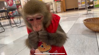 Qたろうジュニアのテンションの違い