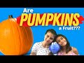 Are PUMPKINS a Fruit? | Pumpkin Facts For Kids