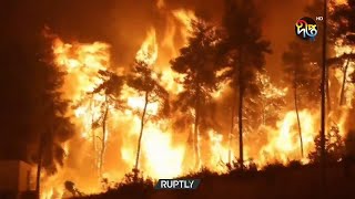 তীব্র তাপদাহ আর  দাবানল বিপর্যস্ত ইউরোপ  | Weather | Europe Weather  | Deepto News