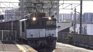 EF64・EF210・DF200・EF510牽引貨物列車   大高・枇杷島・清州にて  2020.10