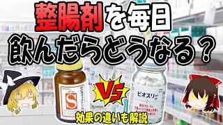 整腸剤を毎日飲んだらどうなる？ビオフェルミンとビオスリーの違い