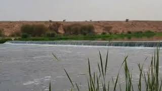 Lakes Park Riyadh (பாலைவன நீரோடை)