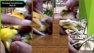 Playtube Pk Ultimate Video Sharing Website