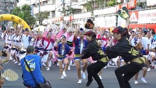 天翔連 高円寺阿波おどり 2014