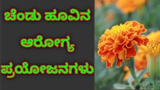 ಚೆಂಡು ಹೂವಿನ ಆರೋಗ್ಯ ಪ್ರಯೋಜನಗಳು. #ಮಾರಿಗೋಲ್ಡ್ ಹೂ. Chendu Hoovu Kannada | Kannada Health Tips