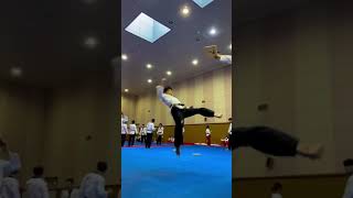 Taekwondo spining Kick #martialarts #teakwondo #shorts
