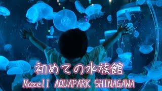 【初めての水族館】マクセルアクアパーク品川 赤ちゃん イルカ 兄弟【First Aquarium】Maxell Aqua Park Shinagawa. Baby.dolphin.brothers.