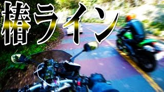 [モトブログ] 椿ライン～伊豆スカイラインツーリング ②初めての椿ライン [Motovlog]FZ1 FAZER