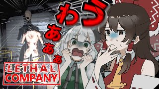 「Lethal Company」”危険すぎる”惑星に行って命がけのゴミ拾いの仕事をします「ゆっくり実況」