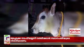 പാലപ്പിള്ളി കുണ്ടായിയില്‍ തുടര്‍ച്ചയായി രണ്ടാം ദിവസവും പുലിയിറങ്ങി പശുക്കുട്ടിയെ ആക്രമിച്ചു