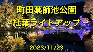 町田薬師池公園 紅葉まつり 紅葉ライトアップ　2023/11/23