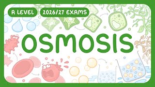 A-Level Biology - Osmosis - Water Potential | Osmosis in Animal & Plant Cells (2026/27 exams)