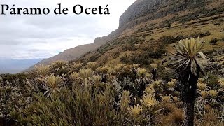 Hiking Páramo de Ocetá (Monguí, Boyacá) Colombia