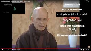 Ven.Thich Nhat Hanh /භික්ෂු තික් නට් හාන්/ පානාති පාතා ශික්ෂා පදයක් පමනක්ද? බුදු සසුන බබලන්නේ ඇයි?