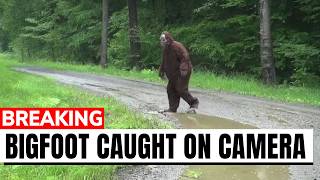 30 CLEAREST Bigfoot Sightings Ever Caught on Camera!