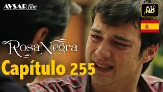 Rosa Negra - Capítulo 255 (HD) En Español