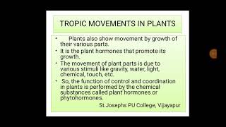 Tropic movements in plants