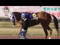 2016 3 2 第62回 エンプレス杯（Ｊｐｎii） パドック 現地映像 アムールブリエ