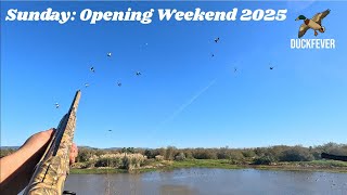 Opening Weekend Duck Hunting 2025: Sunday - Massive Mobs