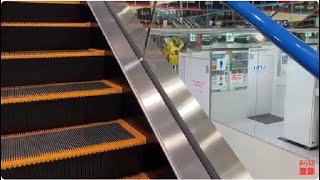 【東芝】1X新しいエスカレーター　ヤマダ電機テックランド葛飾店　1X new escalator Yamada Denki Katsushika electronic shop Tokyo Japan