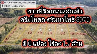 ขายที่ดินติดถนนเส้นศรีมโหสถ - ศรีมหาโพธิ 3070 เนื้อที่ 3-5 ไร่ มี 6 แปลง ราคาไร่ละ 1.7 ล้านบาท