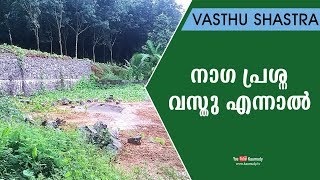 നാഗ പ്രശ്ന വസ്തു എന്നാല്‍ | Vasthu