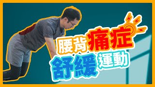 【痛症 腰痛拉筋】💪🏻照顧者痛症預防舒緩⏰15分鐘自救 Ep3｜痛症運動 腰背篇