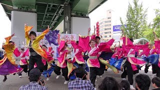 「名古屋大学“快踊乱舞”」わいわい若宮2019【一部】