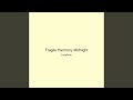 Fragile Harmony Midnight