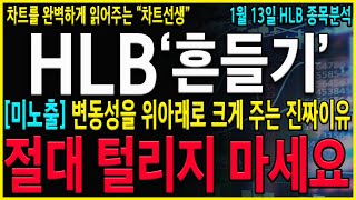 [HLB 에이치엘비] \