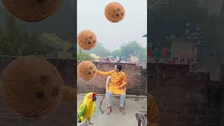 Rounding coconut to Duck, Peacock, Pigeon \u0026 Parrot - Birds names magic video