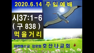 2020.6.14 주일예배설교(시편37편1~6 '먹을 거리')