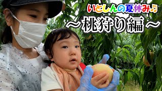 旬の桃狩りに初チャレンジ♪＆巨大室内遊園地ではしゃいできたよ！【育児vlog】#番外編