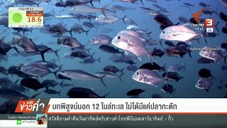 บทพิสูจน์นอก 12 ไมล์ทะเล ไม่ได้มีแค่ปลากะตัก