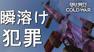 【CoD:BOCW】M16が強すぎて途中で犯罪を起こしていることに気付き罪の重さを認識した