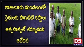 Farmers in East godavari district kajuluru Mandal  suicide asylum As a cause of irrigation problems