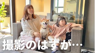 モデルルーム撮影のはずがお姉さん好きが発動してしまった柴犬