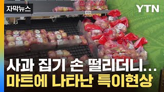 [자막뉴스] 사과 보고 '뒷걸음질'...대형마트에 나타난 변화 / YTN